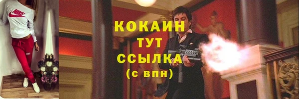 молекула духа Надым