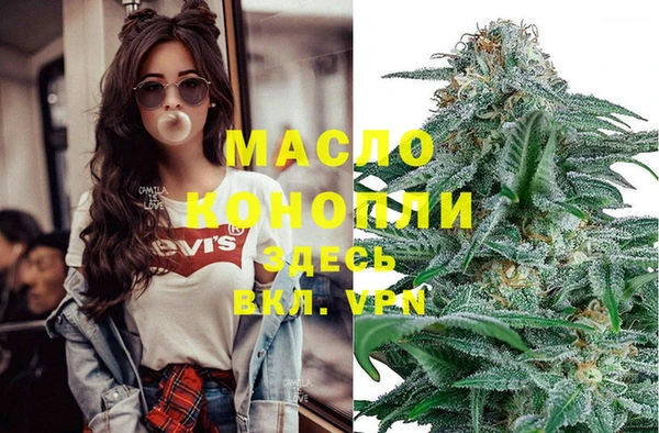 молекула духа Надым