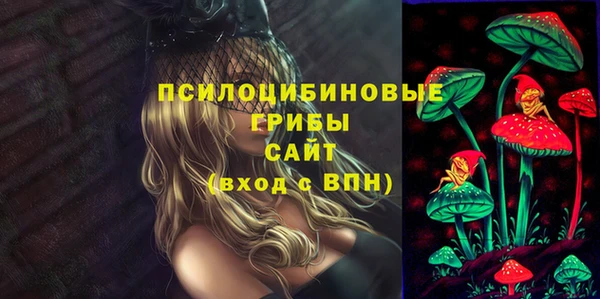 соль ск Навашино